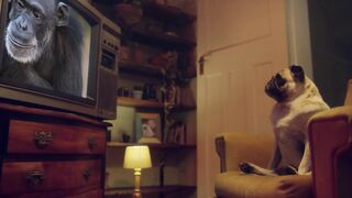 BENEFIT MONKEY: Eden Ivy sucks my dick and makes me concupiscent with her blue eyes