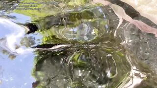 Stepbrother screws his stepsister in the shower and this chab cums on her large titties