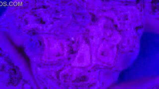 Hawt sex in a swinger's club (full movie on Red)