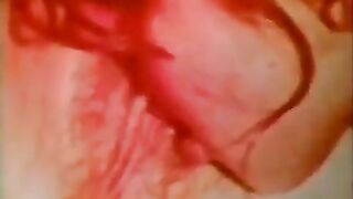 Bucky Beaver's Stags, Loops & Peeps #180