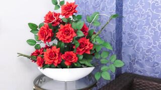 la mejor manera de pedir perdon es besandose