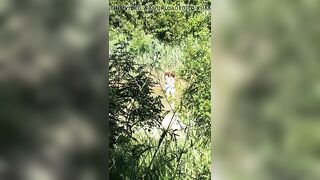 Lesbians at the river