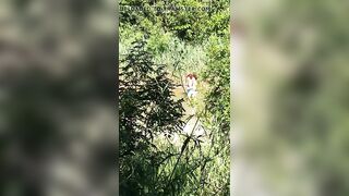 Lesbians at the river