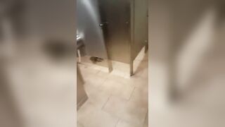 Two Amateur Lesbian Pussy Licking Toilet