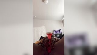 Vibrator compilation