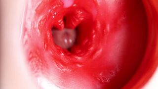 This charming cunt is palpitating and squeezing my jock! Camera inside the aperture!