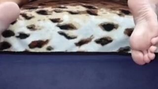 My wife and her fans