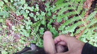 For the Pee-ple. Pee Oh Vee Pee pov