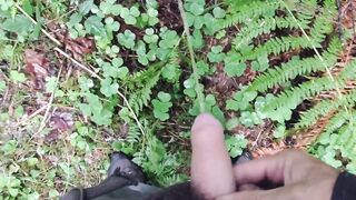 For the Pee-ple. Pee Oh Vee Pee pov