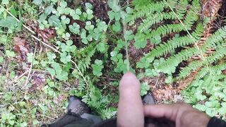 For the Pee-ple. Pee Oh Vee Pee pov