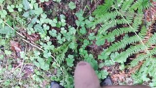 For the Pee-ple. Pee Oh Vee Pee pov