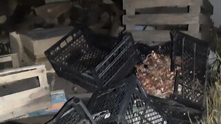 Мы уединенились в заброшенном доме и занялись взаимной мастурбацией - IkaSmokS