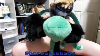 Solo Pegging a Soft Octopus Plushie Aperture with Tentacle Belt On
