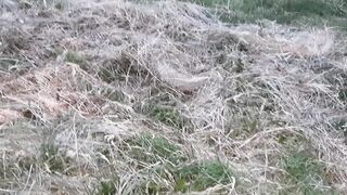 My work colleague licked my twat underneath a blanket in the field so no one could watch