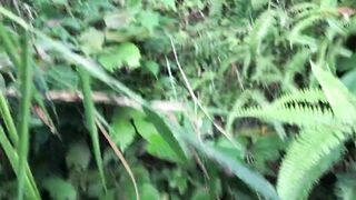 Jungle ma bakhra Charaune Bela vetera majjale chikeko(Jungle Adventures two.0)