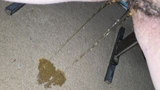 Peeing on the carpet