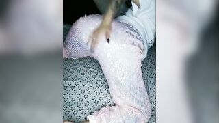 Have a admirable Wednesday