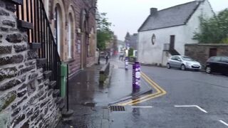 piddle on the pavement