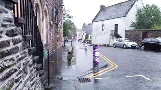 piddle on the pavement