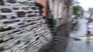 piddle on the pavement