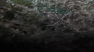 Our public sexy mutual masturbation - IkaSmokS