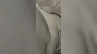 front row anal action