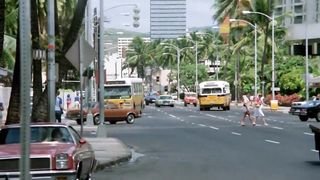 Oriental Hawaii