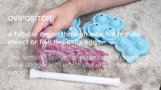 Nothosaur Kohana Review: If HR Giger Made an OVIPOSITOR