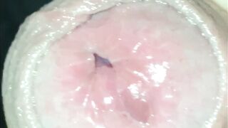 Uncut Rod Worship