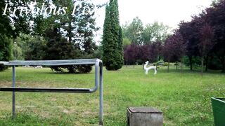 SADOMASOCHISM compilation. Whipping and flogging booty