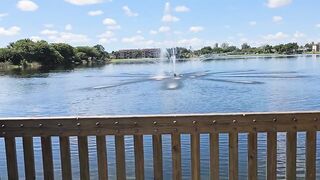 Hanging out in public park with my large sex toy