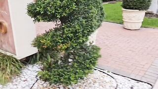 Stranger gave me a ride home, then filled my vagina with his cum