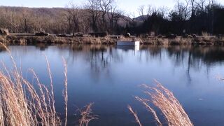 Don Whoe breaks Hawt Doxy Cutie Love