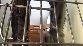 Caged Pet Play JOI - Curvy Femdom POV (it's for all genders likewise)