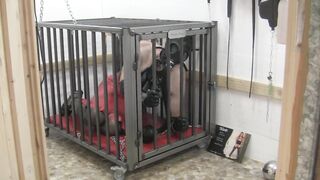 The thrall in her cage