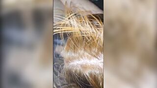 I ACTUALLY LIKE BEEFY PINK RODS LS I BANG AND SUCK 'EM LIKE A SUGAR-PLUM