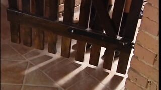 Behind the Scenes They Have a fun the Nice-looking Blond Cow