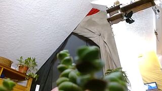 Dawnskye1962 - update #140 - 1297 Small escaped afresh, but I discovered him. - Oct 05, 2025