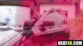 Greenhouse of Gotham