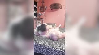 Spouse and wife banging anew