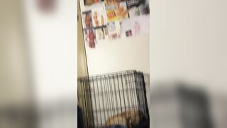 Salute lads go buy my other episodes on live