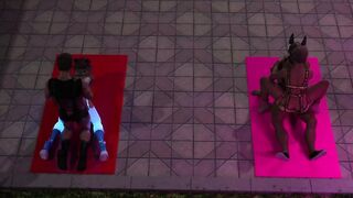 Playgirl with horse shoes gets screwed