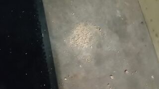 Dog Biscuit Walkover Grind Crush & Trample, size 11 indecent boots 89kg ????????