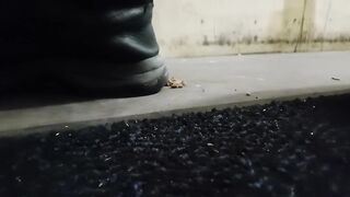 Dog Biscuit Walkover Grind Crush & Trample, size 11 indecent boots 89kg ????????