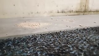 Dog Biscuit Walkover Grind Crush & Trample, size 11 indecent boots 89kg ????????