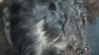 Pov lalin girl mouth screwed