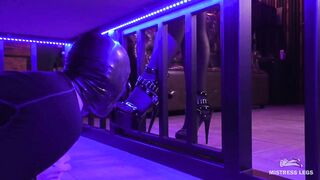 Shoe Licking And Foot Worship And Nylon Foot Gagging In The Cage
