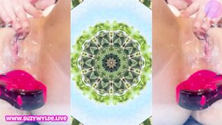 Wylde Ryde 2025 Suzy Wylde in her first Year in the Adult Industry