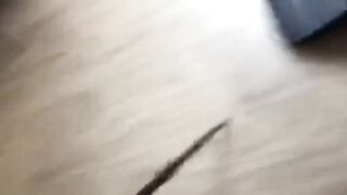 Playing with a matter of joke toys - lengthy version