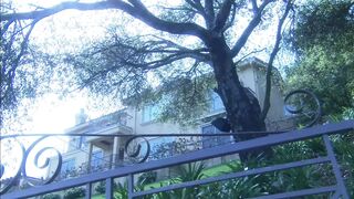 Biggest ramrod for a flawless mother I'd like to fuck...